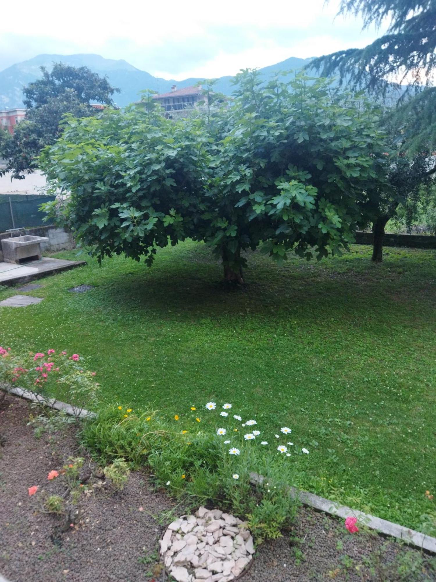 Rose Garden House Wi-Fi Riva del Garda Exterior foto
